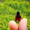 minhua96