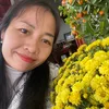 taphoa_baobinh