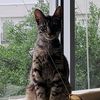 hous3ofkatz