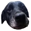 tiellalelilolu