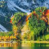 fatimashrief3