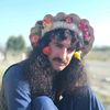 sherwali043
