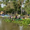 thanhliem06112006