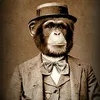 apewp007