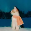 wtfydcpk