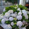 user70819673