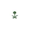ruba_2019