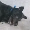 gndkwowkf3e