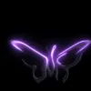 butterfly._yi