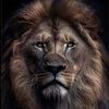 roberto_tamez_m