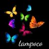 mariposamonarca31