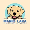 mariolara.eca