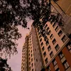 imbirchik__
