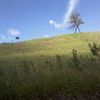 agroforestalvalle