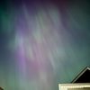shootingstars1264