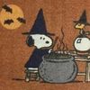 blackcats_222