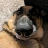 jackstiktokprofile