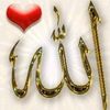 amlgamea7
