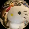cat_gillian14344