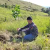 zapterence