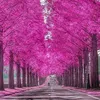 mohammednaeem55