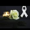 elizz_elizz24