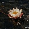 arumprasetyo26