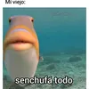 nombredeusuario1u