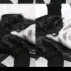 affiliatenew40