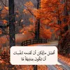 thaerthaer307