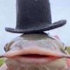 dappa_fish