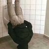 michaelcampos0