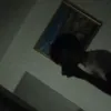 its.reisxx