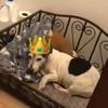 yandelisthe_best