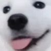 nyanpls