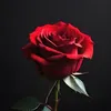 emmaven98