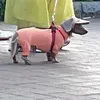 kun_kun.114