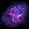 saladium