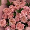 bint_ad81