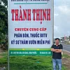 thanh099998
