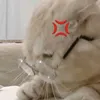 iastudos