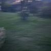user019920303
