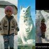 1234sahapyasar