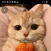 bradleygamble28