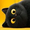 soukaina_adda