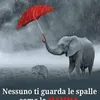 ritarosa261