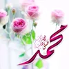 user5pbjm49nbo