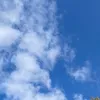 12347891234odc