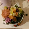 afrodita_tyjbv
