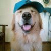 yeyoskiendiel
